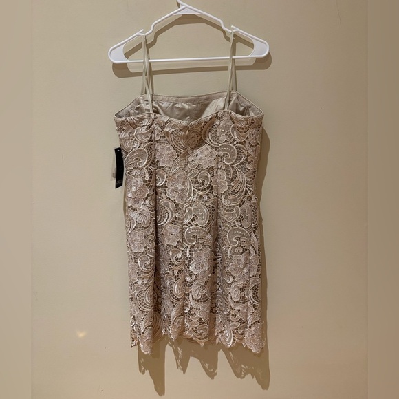 Adrianna Papell Boutique Cream Lace Mini Dress - Picture 2 of 6